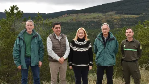 Pista forestal a Villarijo por Buimanco