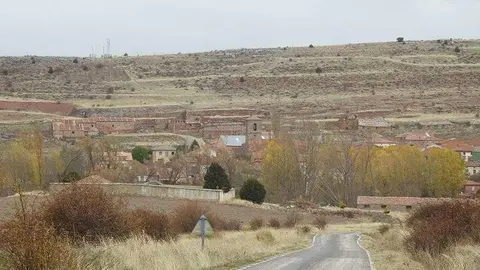 Liceras