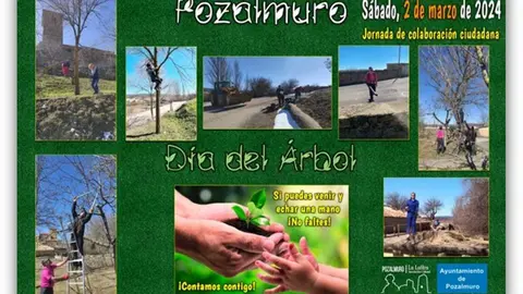 Pozalmuro D&iacute;a del &Aacute;rbol