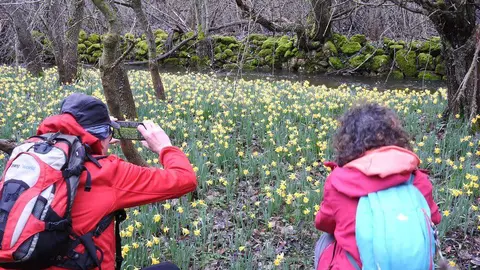 Ca&ntilde;&oacute;n del Talegones entre Torrevicente y Lum&iacute;as (45)