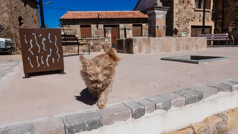 Villar del Ala-4