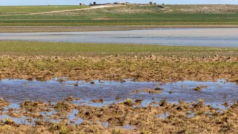 lagunas-1