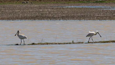 lagunas-2