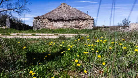 Chozo en Romanillos de Medinaceli5