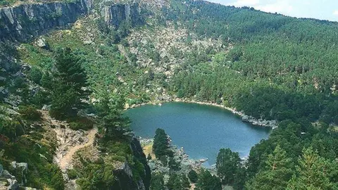 Bosques de Soria. Foto de: Deia