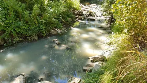 R&iacute;o Linares aguas abajo edar