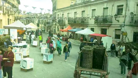Vendimia en Langa