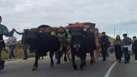 Jornadas de la Vendimia en Langa de Duero25
