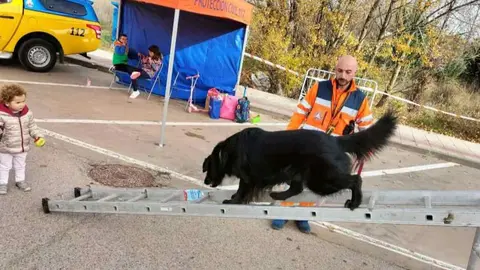 Exhibici&oacute;n y entrenamiento canino en Camaretas (9)