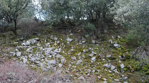 Los Castallares