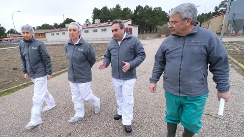 Jornada 'Innovaci&oacute;n en el sector porcino'