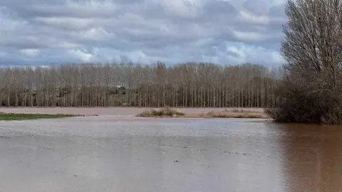 Santa Mar&iacute;a del Prado