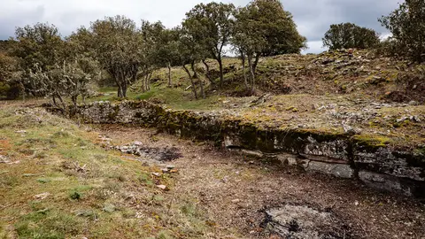 Nacimiento Alhama-1