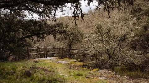 Nacimiento Alhama-4