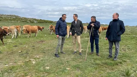 Visita a una explotaci&oacute;n ganadera de vacuno ecol&oacute;gico