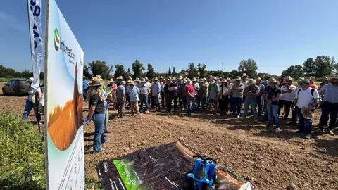 Campos de Ensayo Asaja