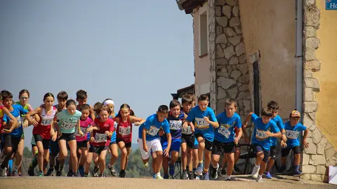 XLIV Cross Popular de Abejar, categor&iacute;as inferiores y entrega de premios-2