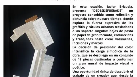 Exposici&oacute;n Javier Brizuela