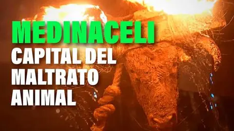 Concentraci&oacute;n PACMA Medinaceli