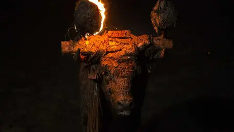 Toro Jubilo7