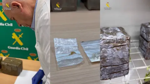 Sustancias intervenidas