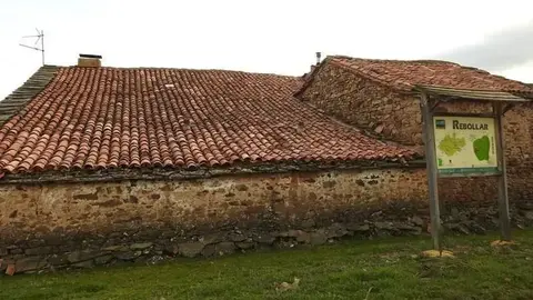 Rebollar