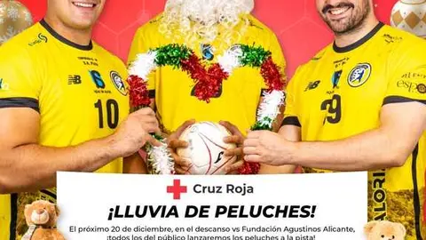 Lluvia de peluches