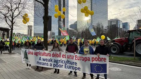 Manifestaci&oacute;n Asaja en Bruselas