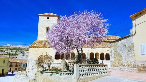 Mi&ntilde;o de San Esteban