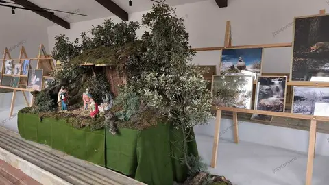 Bel&eacute;n de Hinojosa del Campo (3)