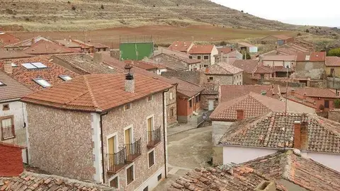 Liceras