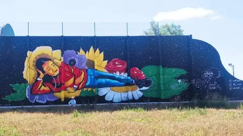 Matalebreras