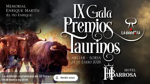 Premios Taurinos Hotel La Barrosa