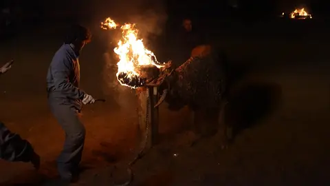 Toro Jubilo