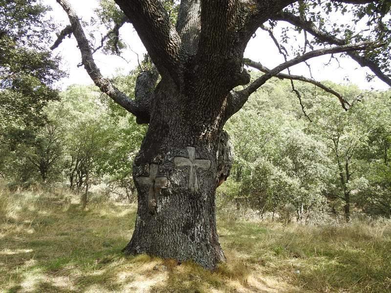 Beratón