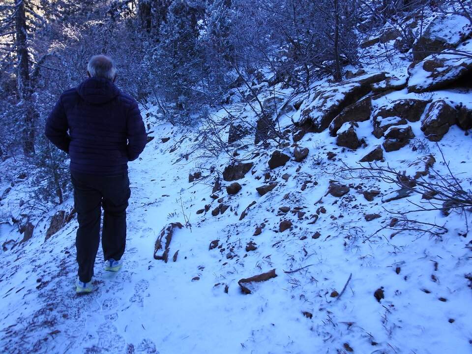 1. Senda Artemisa en Monte Olimpo, Troodos (5)