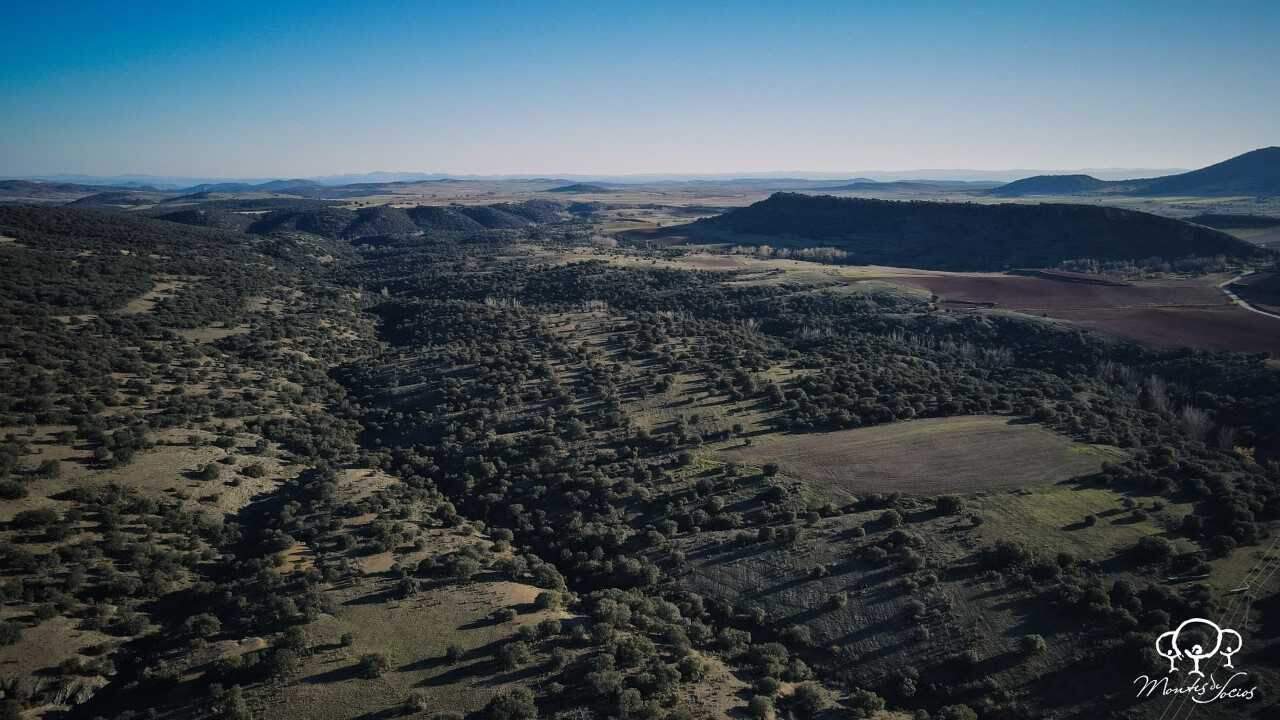 El pueblo de La Alameda recupera sus montes de socios