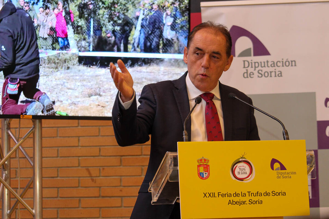 XX Feria de la Trufa de Abejar-10
