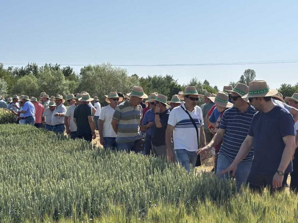Campos de Ensayo en Almazán